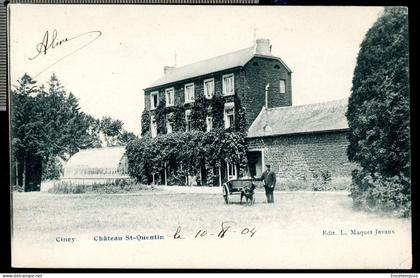 Carte Postale - Belgique - Ciney - Château St Quentin (CP28729OK)