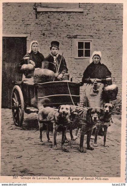 GROUPE DE LAITIERS FLAMANDS / ALBERT 307