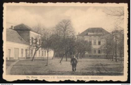 DE PINTE     GESTICHT S'SCHELDEVELDE ( VOOR OUDE MENSCHEN )