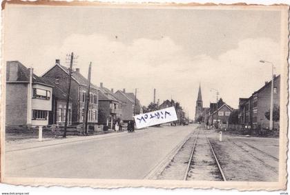 Dessel :  de molsebaan