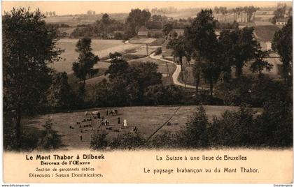 CPA Carte Postale Belgique  Dilbeek Paysage brabançon vu du Mont Thabor     VM103256