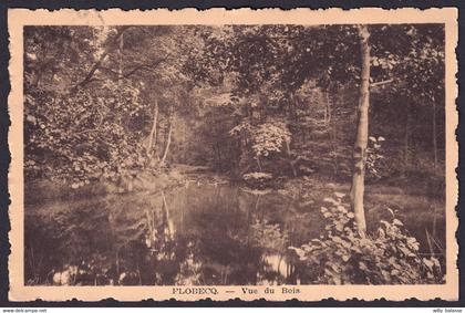 +++ CPA - FLOBECQ - VLOESBERG - Vue du Bois  //