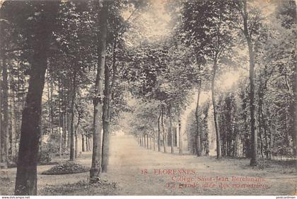 Belgique - FLORENNES (Namur) Collège Saint-Jean Berehmans - La grande allée des marronniers