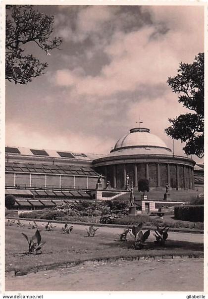 BRUXELLES -  jardin botanique