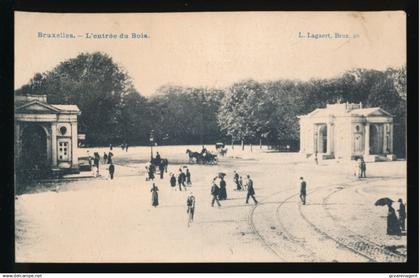 BRUXELLES  L'ENTREE DU BOIS