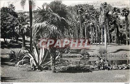 CPA MONTE-CARLO.Les Jardins du Casino. Vision d'Afrique