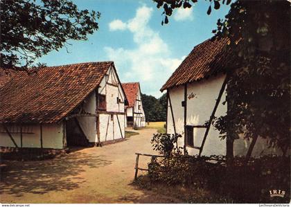[-5%] BELGIQUE - Provinciedomein Bokrijk - Openluchtmuseum - Contzenwinning uit Klein Hoeselt - Carte postale ancienne