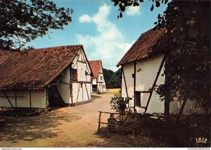 BELGIQUE - Provinciedomein Bokrijk - Openluchtmuseum - Klein Hoeselt - cour - Nels - Carte Postale