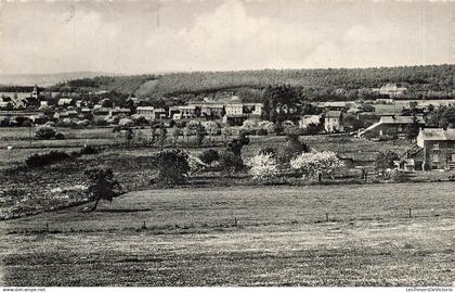 [-5%] BELGIQUE - Gesves - Faulx les Tombes - Panorama - Carte Postale