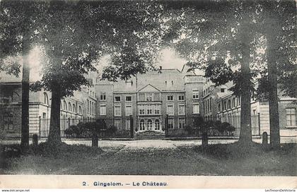 [-5%] BELGIQUE - Gingelom - Le château - porte - entrée - allée - rue - jardin - grille - aout 1910 - Carte postale anci