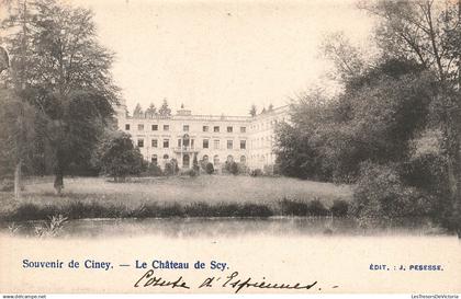 [-5%] BELGIQUE - Scy (Hamois) - Souvenir de Ciney - Le Château de Scy - Edit - Carte Postale Ancienne