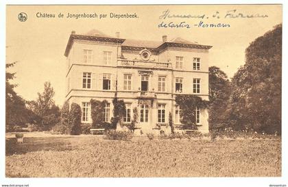 Château de Jongenbosch [Diepenbeek Ceysens het kasteel van Vliermaalroot Hasselt Jongenbos Hermans Favereau Cartier Yve]