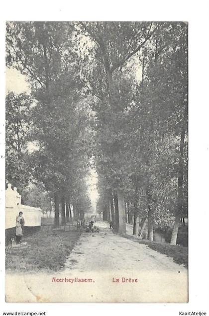 Neerheylissem - La drêve.