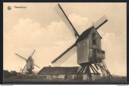 AK Herenthout, Windmühlen