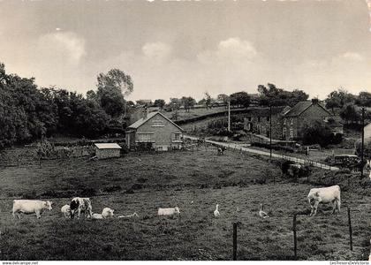 [-5%] BELGIQUE - Héron - Le fond de Boingt - Cercle Saint Martin - Carte postale