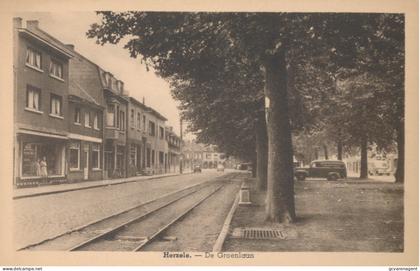 HERZELE     DE GROENLAAN