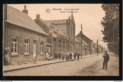 HERZELE    GEMEENTESCHOOL