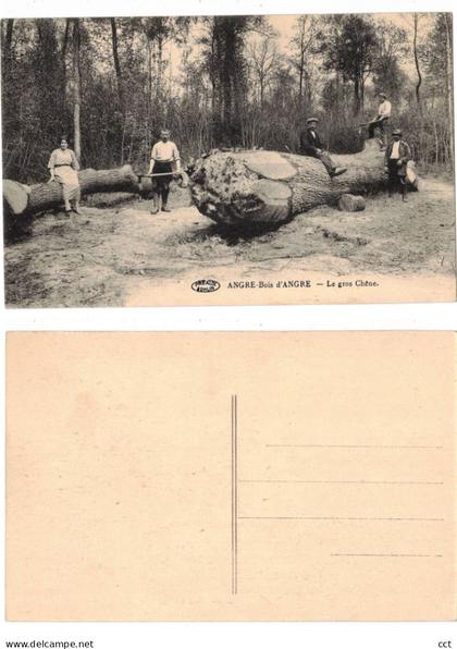 Roisin  Angre  Bois d'Angre  Honnelles   Le gros Chêne