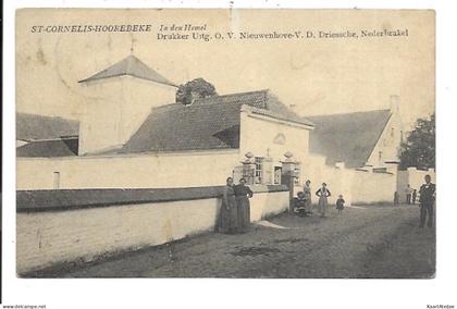 St-Cornelis-Hoorebeke - In den Hemel.