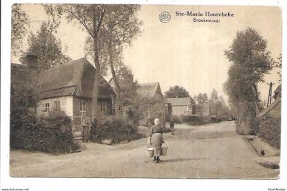 Ste-Maria-Hoorebeke - Broekestraat.