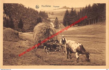 Paysage - Houffalize