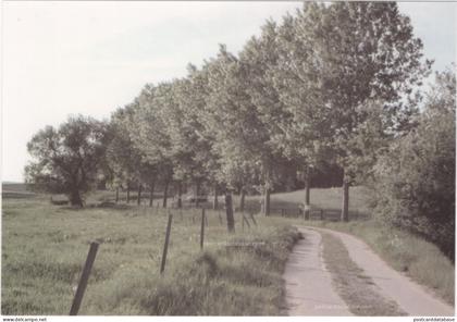 Marche des Chouans sur Jodoigne - Tronçon