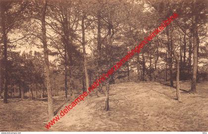 Boschweg - Kasterlee