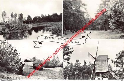 Groeten uit Kasterlee - Kasterlee