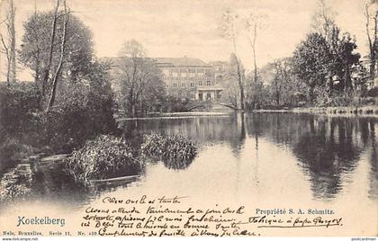 Belgique - KOEKELBERG (Brux. Cap.) Propriété S. A. Schmitz - Ed. Nels Série 11 N. 450