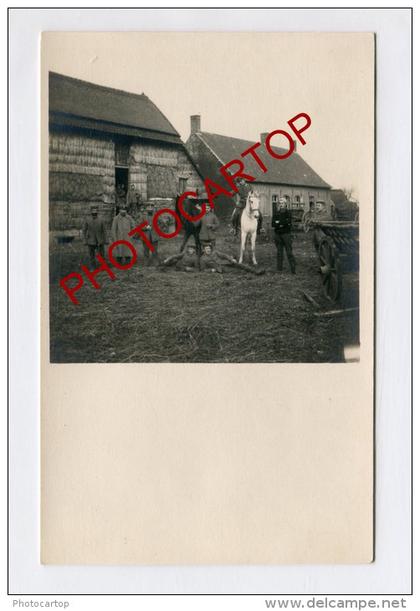 Ferme-Gut-ROLLEGEM-Carte Photo allemande-Guerre14-18-1WK-BELGIQUE-BELGIEN-Flandern-