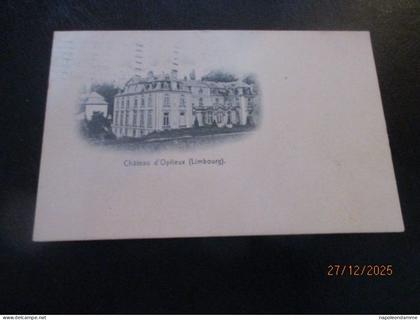 Chateau d'Oplieux, Limbourg