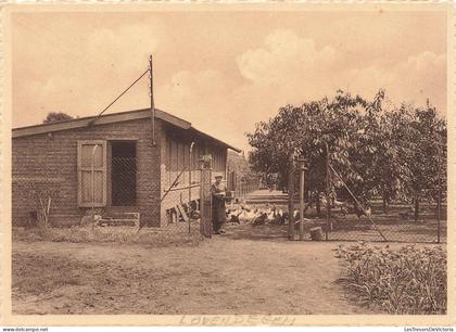 [-15%] BELGIQUE - Lovendegem - Sœurs de la Charité de Lovendegem - Poulailler - Paysan - Carte postale ancienne
