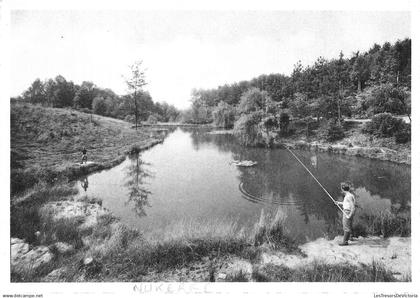 BELGIQUE - Nukerke - Visvijver - o A Cardon - Hoffman - Nels - pêche - étang - forêt - eau - Carte postale
