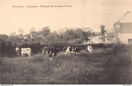 Belgique - MOMIGNIES (Hainaut) Paysage sur la route d'Ohain