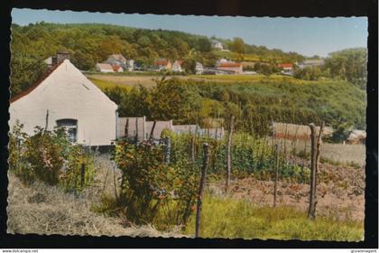 MONT DE L'ENCLUS.   VALLEE