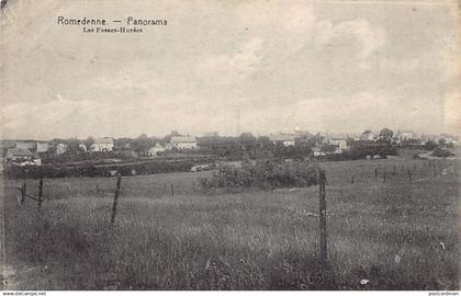 Belgique - ROMEDENNE (Namur) Panorama - Les Fosses-Hurées