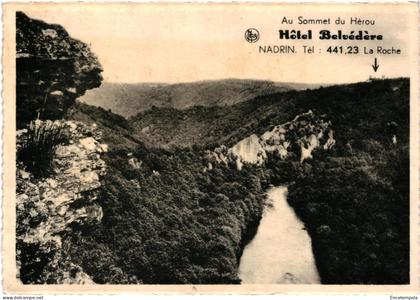 CPA Carte Postale  Belgique  Nandrin Au sommet du Hérou   VS316