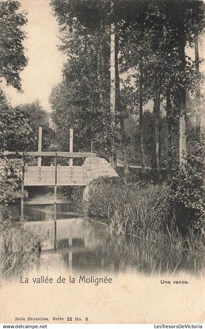 [-5%] BELGIQUE - Onhaye - La vallée de la Molignée - Une vanne - Nels, Bruxelles - Carte postale ancienne