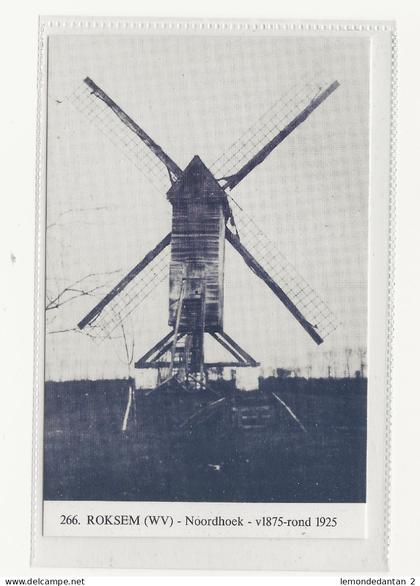 Roksem - Noordhoek.*