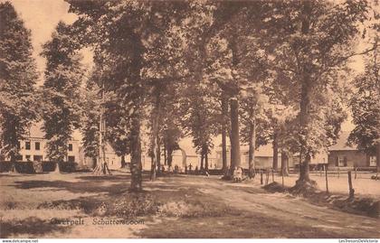 BELGIQUE - Overpelt - Schuttersboom - Rue - Bois - Parc - Chalet - P Stevens For
