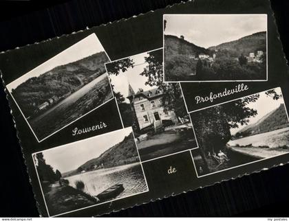 Profondeville Hotel-restaurant FRISIA