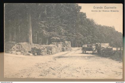 GRANDE ESPINETTE     ENTREE DE L'AVENUE BRASSINE