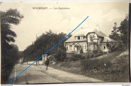CPA  RIXENSART Les sapinières  Brabant Wallon