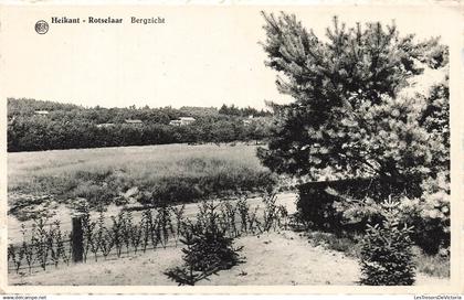 BELGIQUE - Heikant - Rotselaar - Bergzicht - paysage - village - pâturage - Edit Albert - Carte Postale Ancienne
