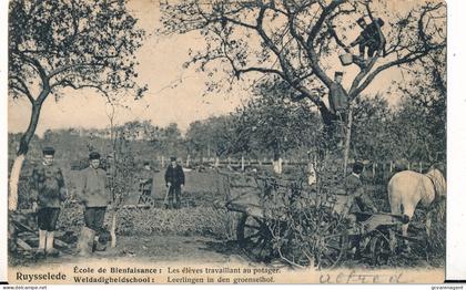 RUISELEDE  WELDADIGHEIDSCHOOL  LEERLINGEN IN DEN GROENSELHOF        2 SCANS