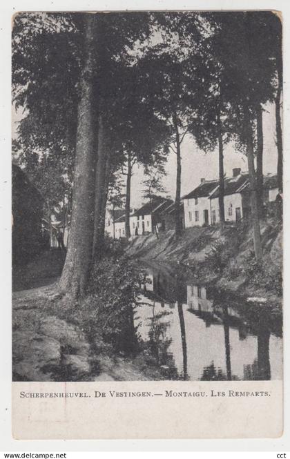 Scherpenheuvel Zichem  Montaigu   De Vestingen