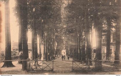 TERNATH/TERNAT DREVE - allées.