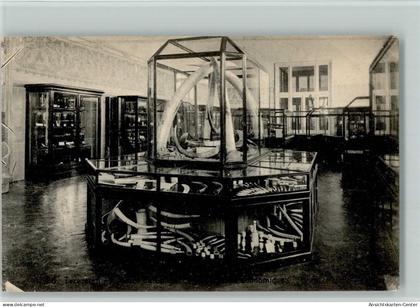 11103016 - Tervuren Tervueren