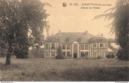[-15%] BELGIQUE - Soheit Tinlot - Château de Tillesse - Carte postale ancienne