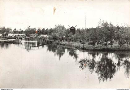 BELGIQUE - Tremelo - Vijvers en Molen - Hollands vin - pont - étang - Oblit Tremelo - Carte Postale Ancienne